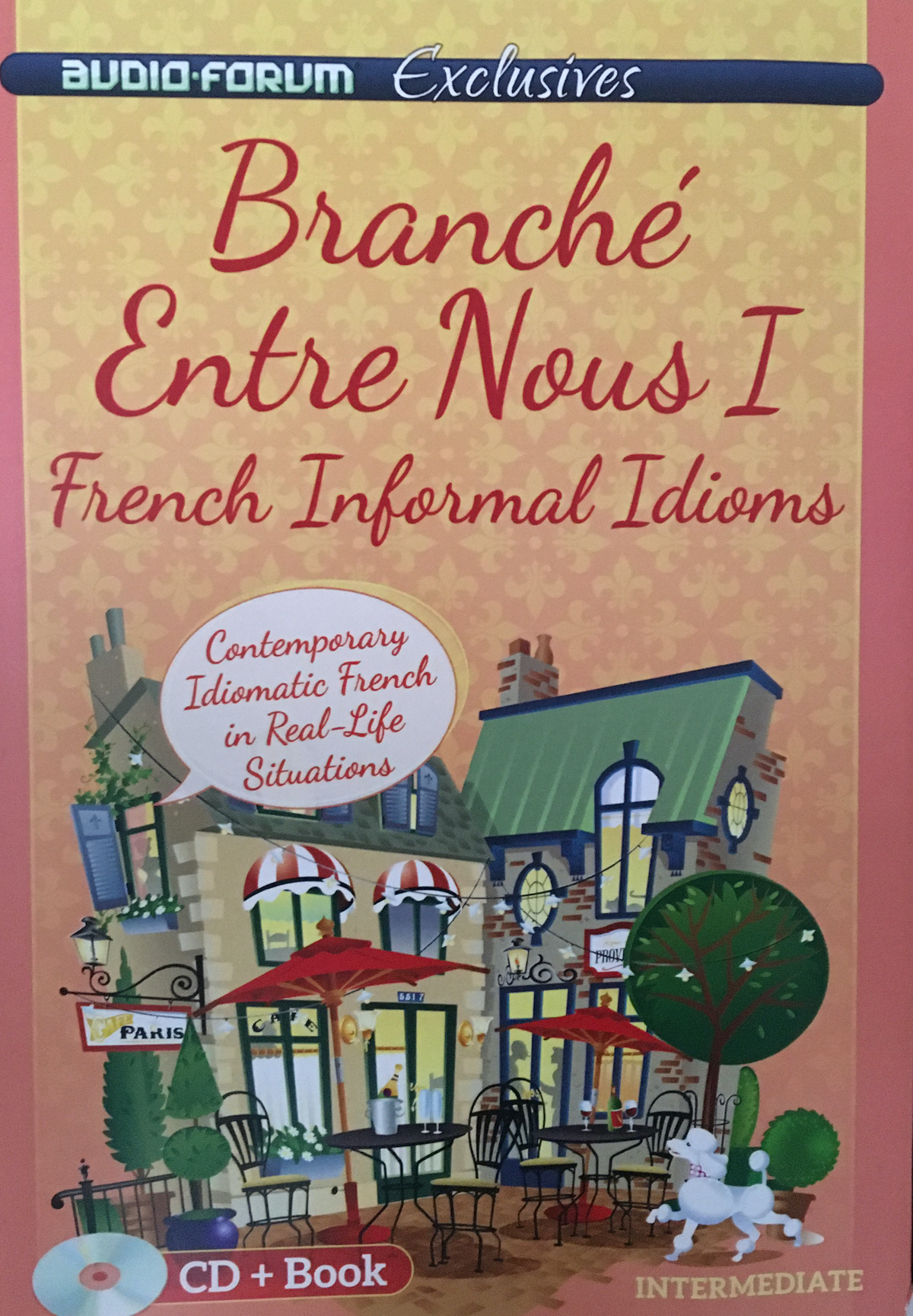 French Informal Idioms Branche Entre Nous I CD + Book Intermediate