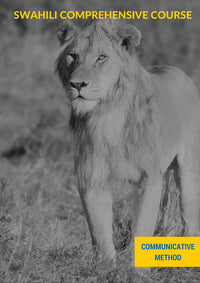 Load image into Gallery viewer, Swahili Language in a Flash
