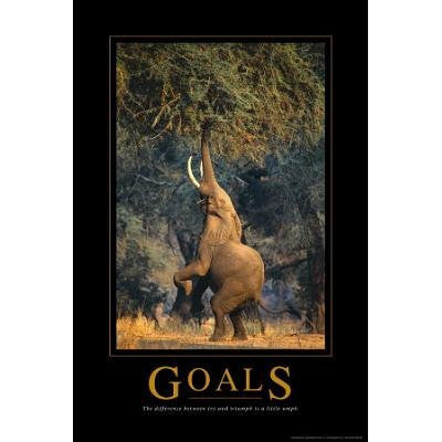 Goals Elephant Motivational Poster - 24x36 - Teacher In Spanish
