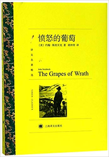 The Grapes of Wrath Book in Chinese