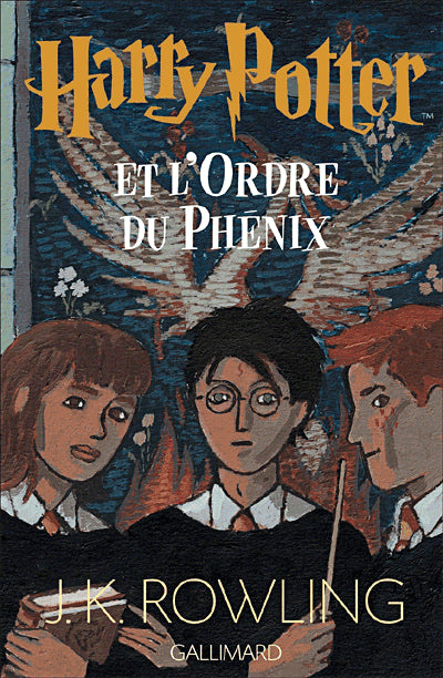 Harry Potter Deluxe Gift Set French | Multilingual Books