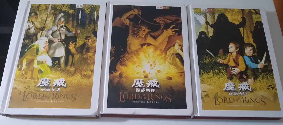 Lord of the Rings Trilogy Chinese paperback