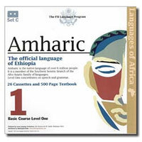 Load image into Gallery viewer, Amharic in a Flash
