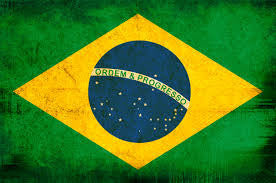 Brazilian Portuguese Pimsleur Used
