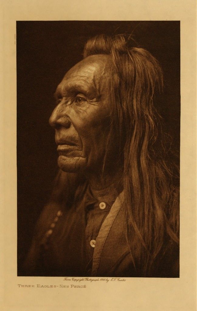 7500 photographs Native AMERICAN 20 vols On DVD